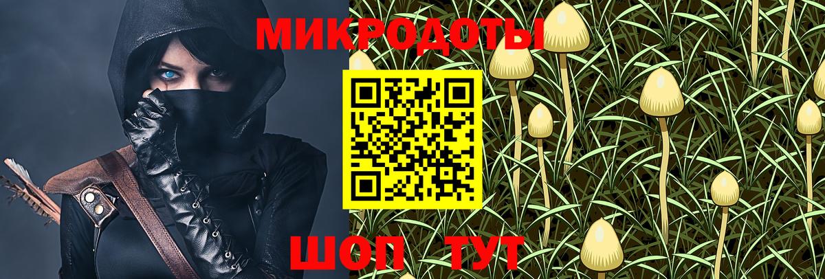 Россия  Псилоцибиновые грибы Psilocybe  цены   Вход с VPN 